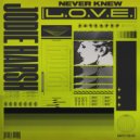 Jodie Harsh - Never Knew (L.O.V.E)