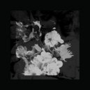 Sanctums - Beyond The Valley Of Endless Sleep