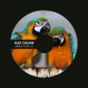 Alex Galvan - You See Me