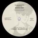 JIMMY HARDDISK - DISCO DISK #1