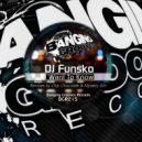 DJ Funsko - I Want To Know (Mystery Girl Remix)