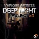 Deep Night Project feat Tess & Reebah - What You Need (Original Mix)