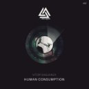 Vitor Saguanza - Insight