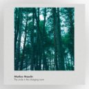 Markus Masuhr - Dusk Was Approaching