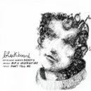 M.F.S: Observatory - Don't Tell Me