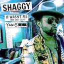 Shaggy - It Wasn't Me