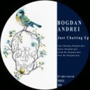 Bogdan Andrei - Near Me