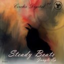 Steady Beats - Boa Blues