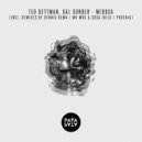 Ted Dettman, Sal Sonder - Medosa (Dennis Rema Remix)