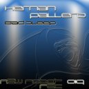 Hernan Pallero - The Jungle