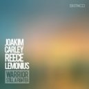 Joakim Carley - Warrior (Still A Fighter) (Original Mix)