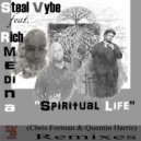 Steal Vybe feat. Rich Medina - Spiritual Life (Quentin Harris Instrumental)