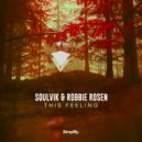 Soulvik & Robbie Rosen - This Feeling