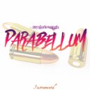 MysteriousPGH - Parabellum