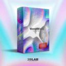 Zigzaton & 2blab - DVD