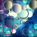 Wrong Extension - Circles (Original Mix)