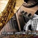 Deepconsoul, Shimmytones, Jah Band - Annoying Mosquito (Original Mix)