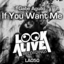 Gabe Agullo - If You Want Me