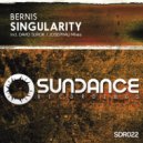 Bernis - Singularity (JosephAli Remix)