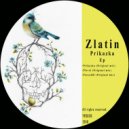 Zlatin - Parcal60 (Original Mix)