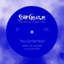 Wings of Sunshine feat. Steve Dolfin - Magic of The Funk