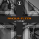 Pacius Elter - Seraphim (Original Mix)