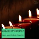 Ultra Healing - Spa Dedications (Original Mix)