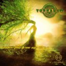 Terrasun - Water Drops