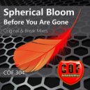 Spherical Bloom - Before You Are Gone