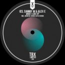 Sammy W & Alex E & ICS - What I Like (Medeew & Chicks Luv Us Remix)