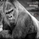 Silver Ivanov - The Cube