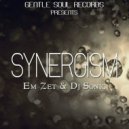 EM-Zet & DJ Sonic - Synergism (Original Mix)