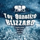 Toy Quantize - Blizzard (Alter Form Remix)