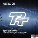 Aero 21 - Spring Flower (Original Mix)