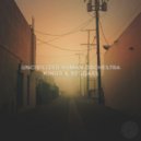 Uncivilized Human Orchestra - Diet of Lies (Original Mix)