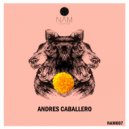 Andres Caballero - Level Of Understanding