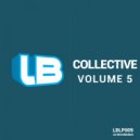 Ivan Feher - Laganeze