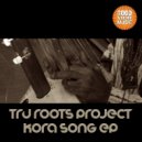 Tru Roots Project - Houdini