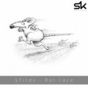 STirds - Rat Race