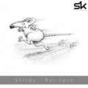 STirds - Rat Race (Original Mix)