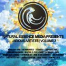 Melody Beat & Sounds Feat. Anthony Poteat - Priceless (Hitman On Set Remix)