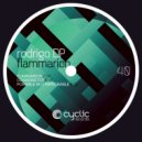 Rodrigo DP - Possible But Improbable