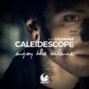 CALEIDESCOPE Ft. gxldjunge - Enjoy The Silence