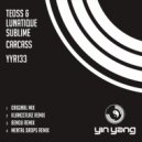 Teoss & Lunatique Sublime - Carcass (Klangsturz Remix)