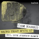 Cam Harris - In The Hype (Original Mix)