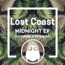 Lost Coast - Midnight