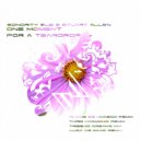 Sonority SLB & Stuart Allen - One Moment For A Teardrop (Third Harmonic Remix)