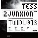 2Junxion - Tess (100 Kilo Maarten Remix)