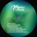 Nico Kohler - Big Business (DIRCRONE Remix)