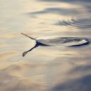 Marco Madia - Hydrotropism (Reprise)